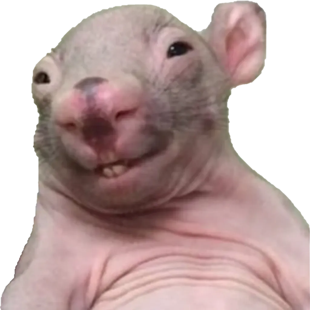LeoBarentz